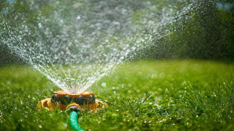 Why You Should Hire A Professional Sprinkler Service For Your Winter Blowouts?